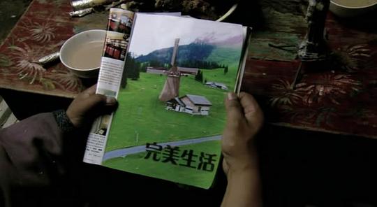 剧照
