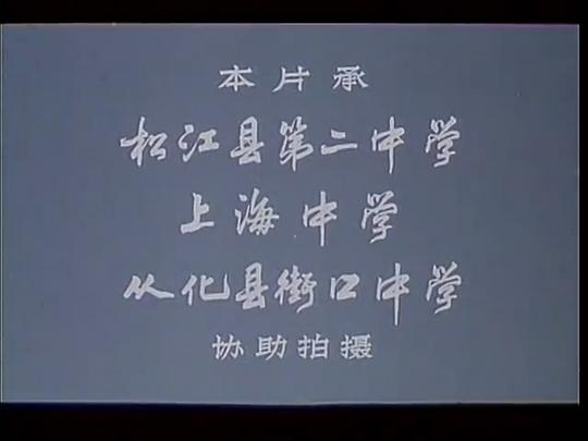 剧照