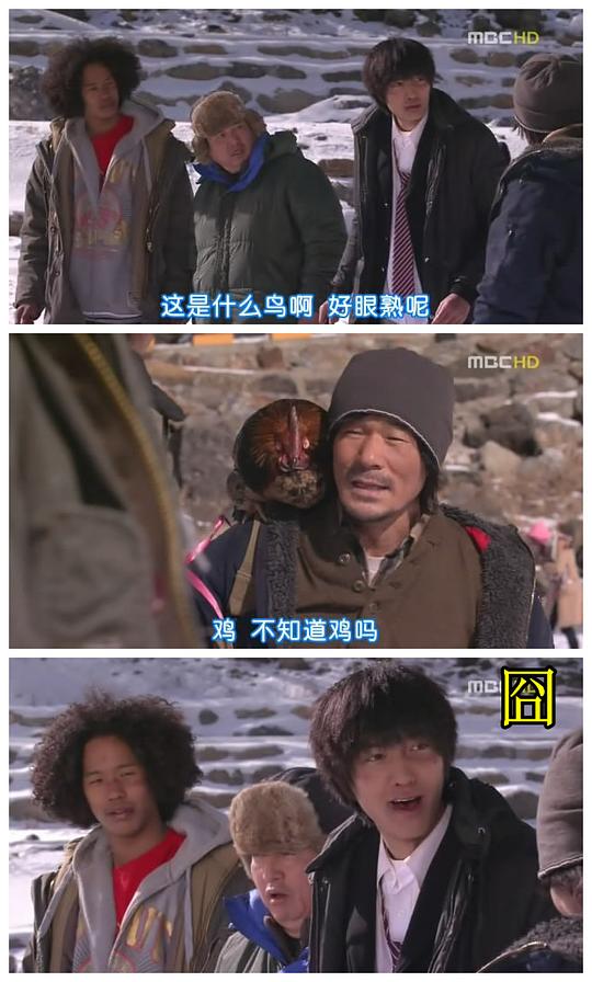 剧照