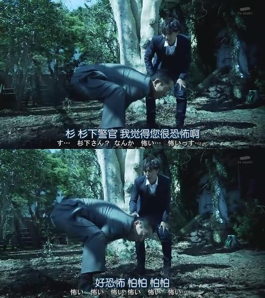 剧照
