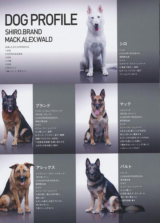 剧照