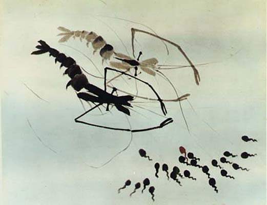 剧照