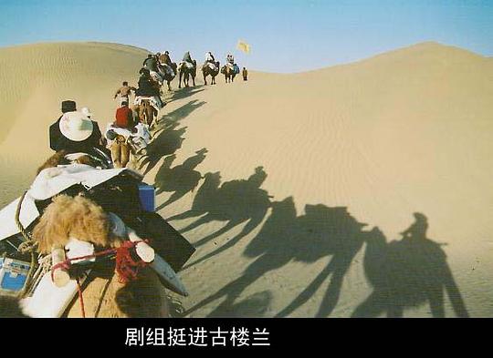 剧照