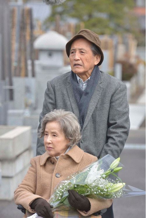 剧照
