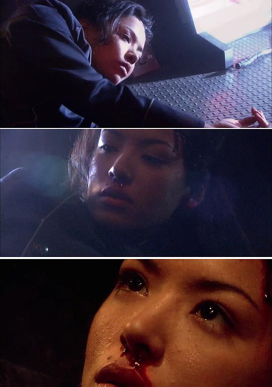剧照