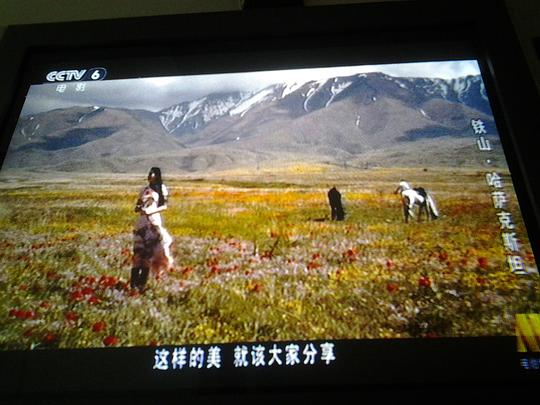 剧照