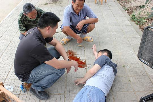 剧照