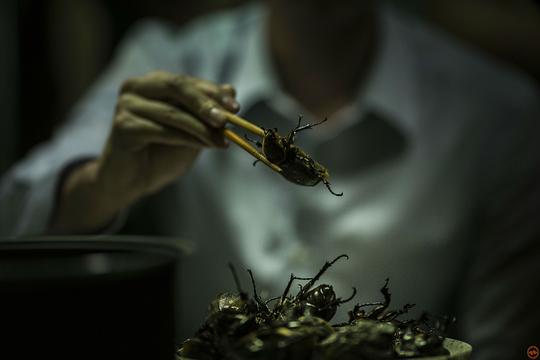 剧照