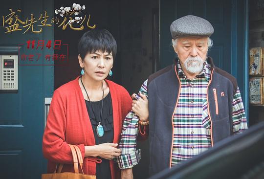 剧照