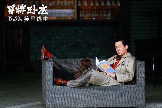 剧照