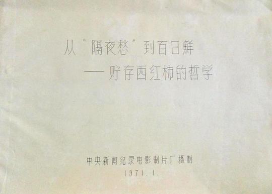 剧照