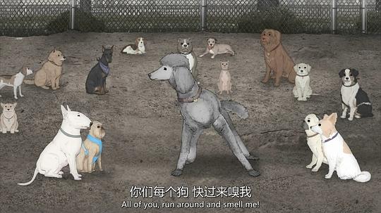 剧照