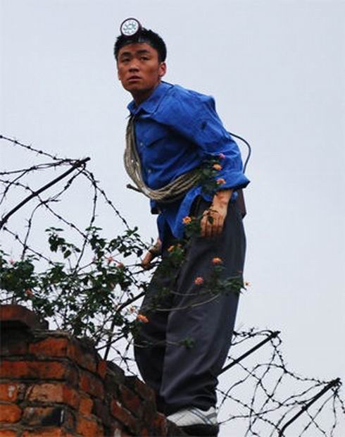 剧照