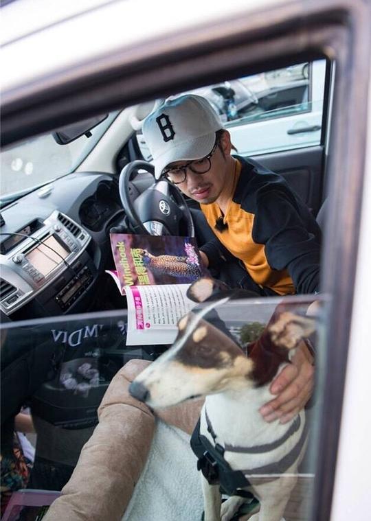 剧照