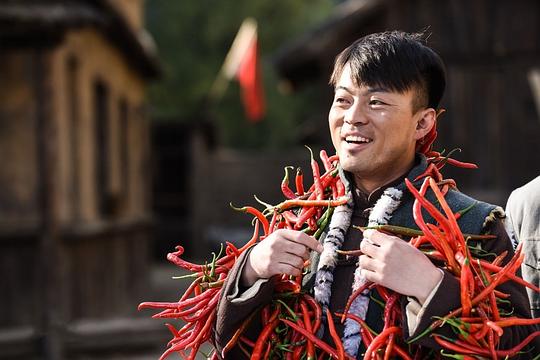 剧照