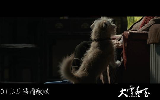 剧照