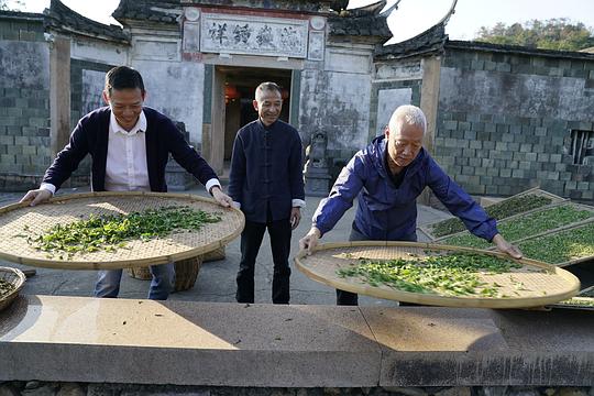剧照