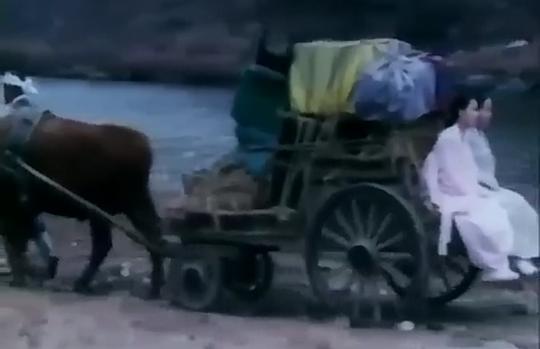 剧照