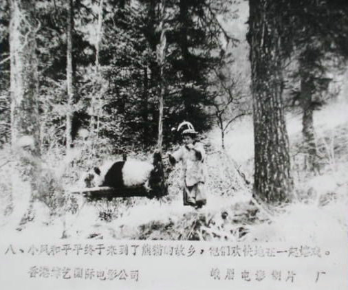 剧照