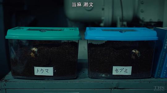 剧照
