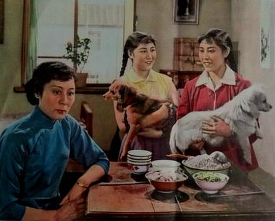 剧照