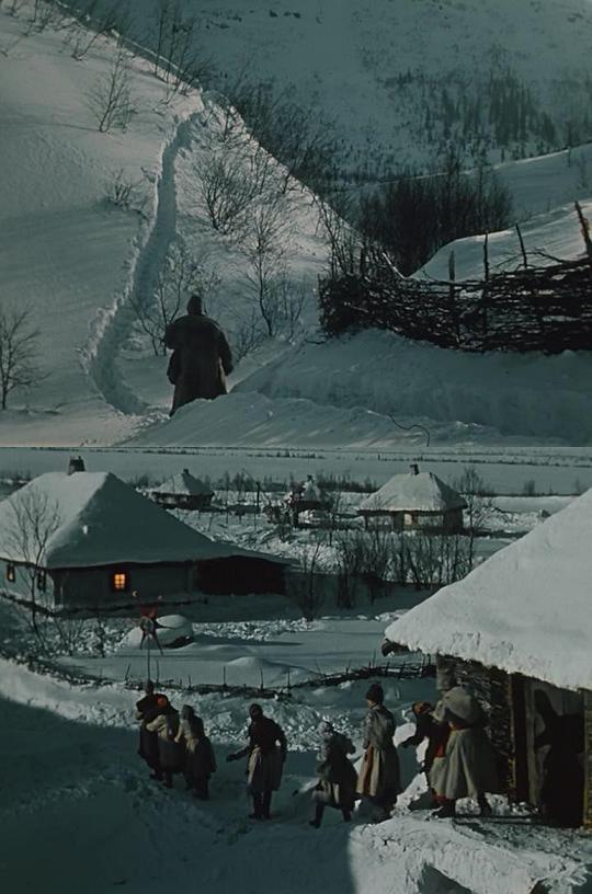 剧照