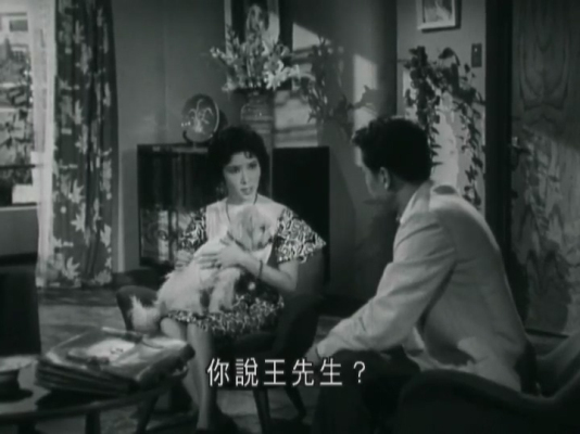 剧照
