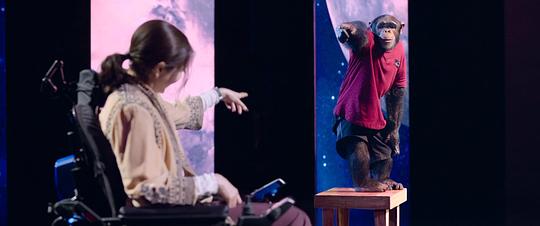 剧照
