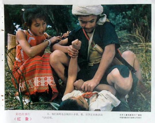 剧照