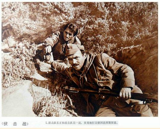 剧照