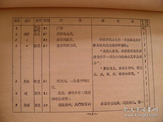 剧照