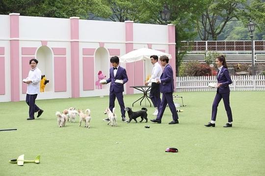 剧照