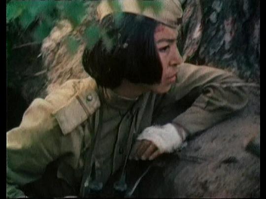 剧照