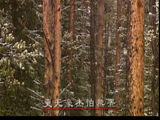 剧照