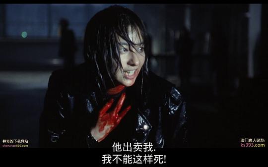 剧照