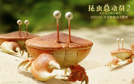 剧照