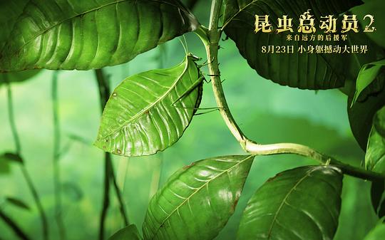 剧照