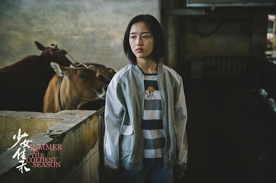 剧照