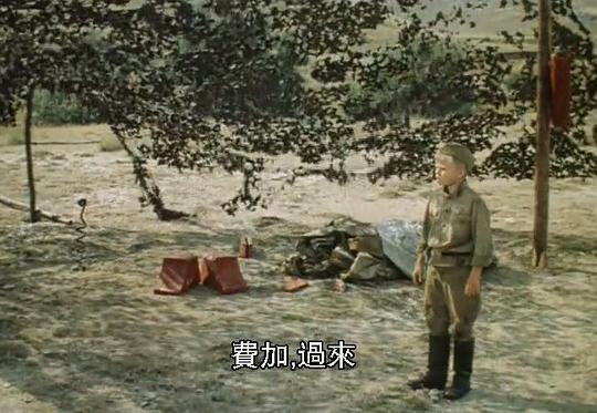 剧照