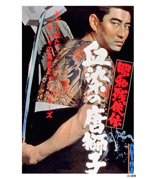 剧照