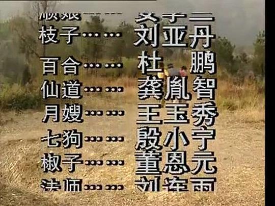 剧照