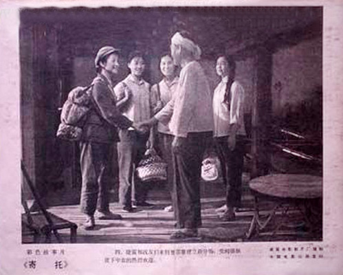 剧照