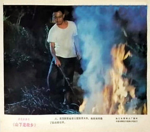 剧照