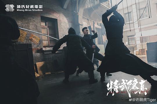 剧照