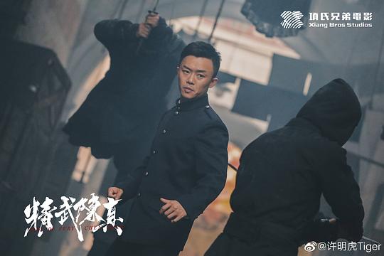 剧照