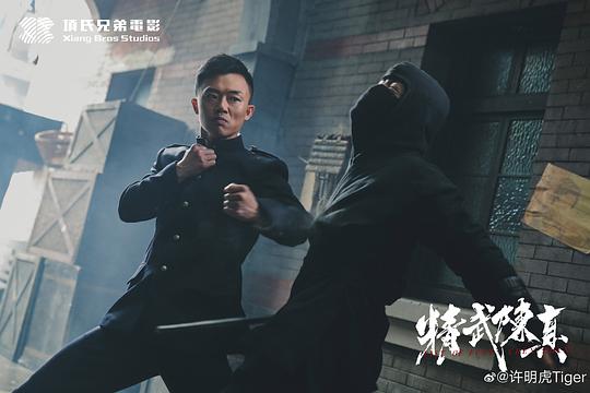 剧照