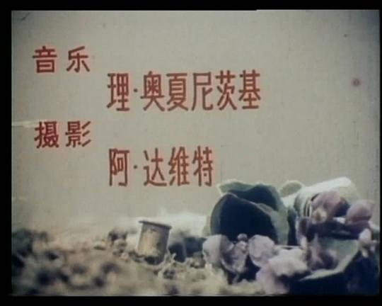 剧照