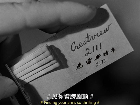 剧照