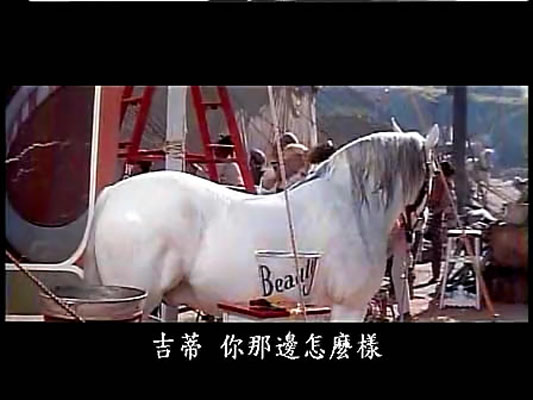 剧照