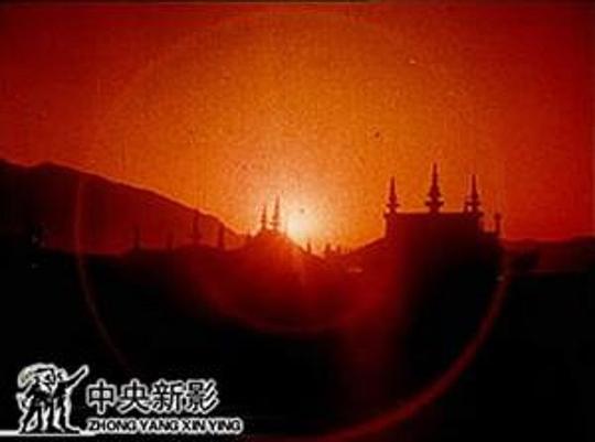 剧照